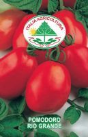 Pomodoro Rio grande